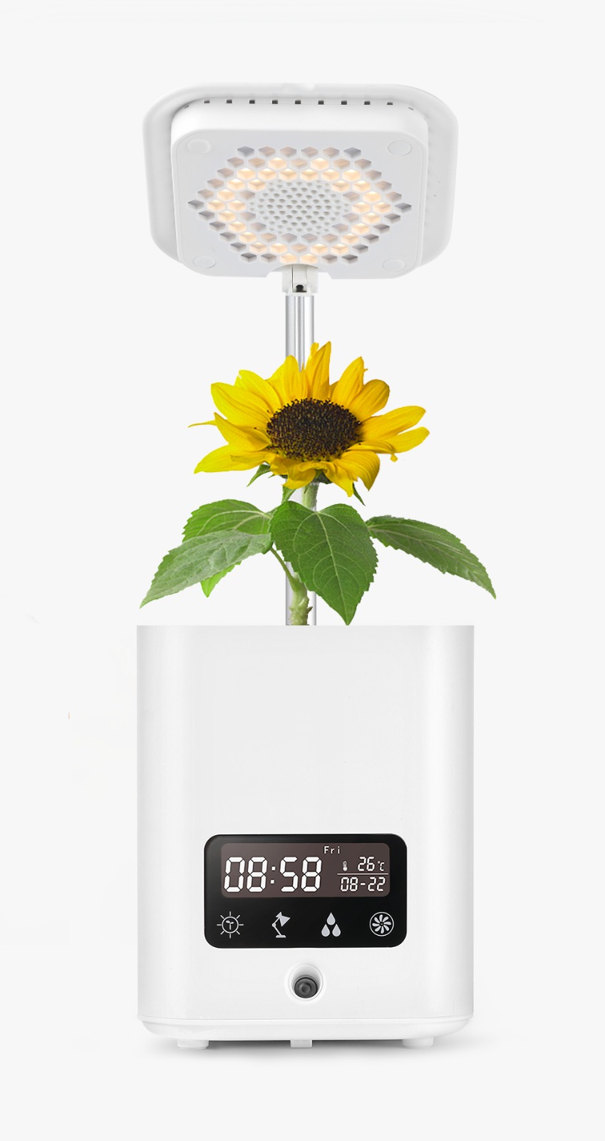 Plutoos Smart Tisch-Hydroponik Pflanzgefaess – Bluetooth Speaker, LED Display & Humidifier